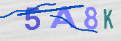 Immagine CAPTCHA