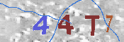 Immagine CAPTCHA