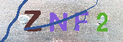 Immagine CAPTCHA