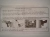 DSC03707