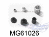 MG610261-