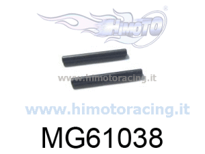 MG610381-
