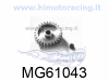 MG610431-