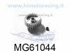 MG610441-