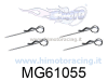 MG610551-