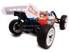 buggy-(4)