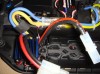 buggy_e004_13c