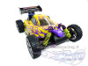 buggy_g002_04-