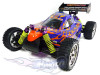 buggy_g002_30-