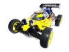 buggy_g004_03-