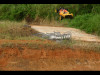 buggy_g004_12