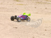buggy_g013_19