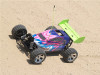 buggy_g013_21
