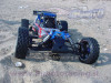 buggy_p006_03-