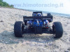buggy_p006_04-