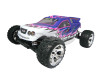 truggy_g005_19