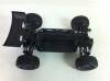 buggy spino-3