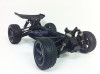 buggy-spino-4-