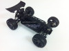 buggy-spino-5-