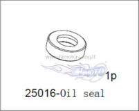 25016[1]-