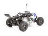 buggy_e019_10.jpg-