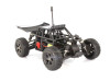 buggy_e019_11.jpg-