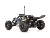 buggy_e019_15.jpg-