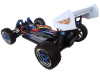 hi3101bl-buggy-himoto-7